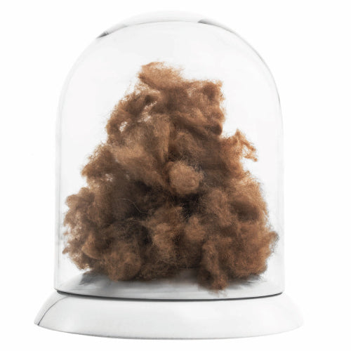 Wool Collection